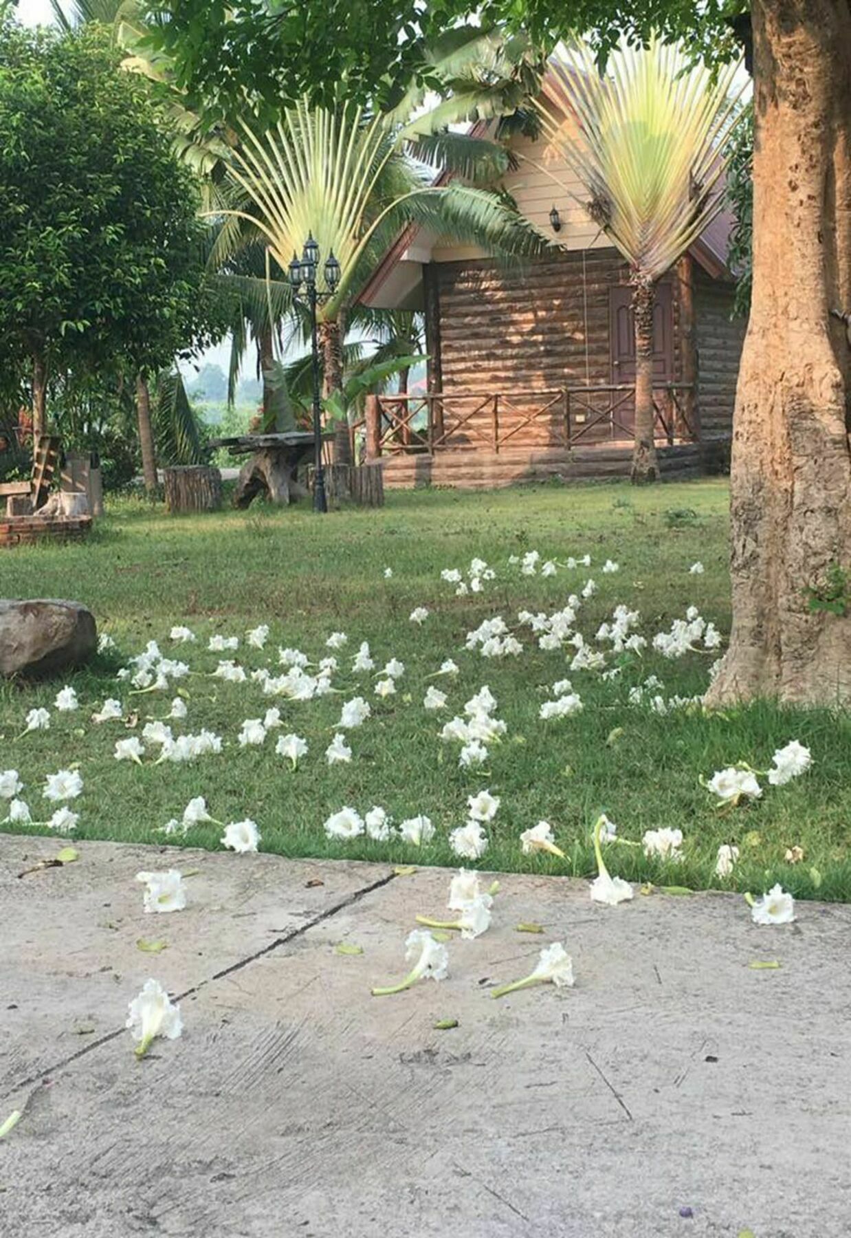 Bansuan Chomdao Resort Khon Kaen Zewnętrze zdjęcie